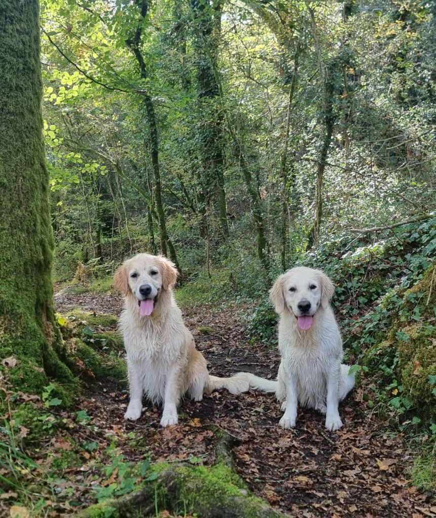 Nos prochaines mamans pour 2026!