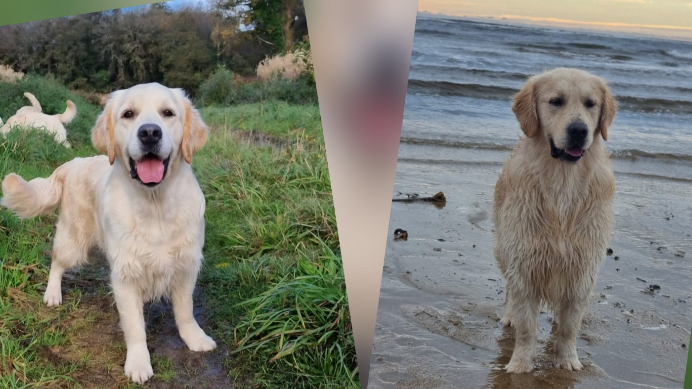 Summer est enfin en chaleur! Elle sera prochainement mariée à Viktor